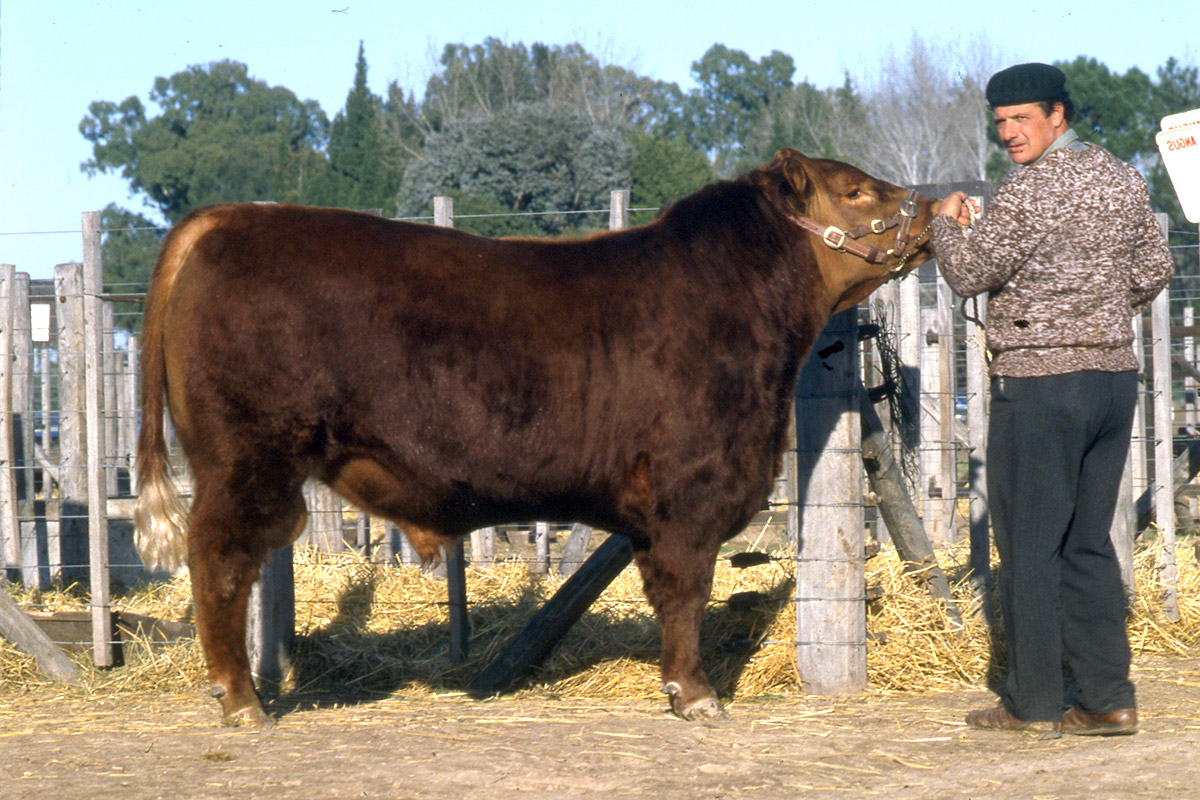 Alfredo Errazu con CSM 6 Radamés